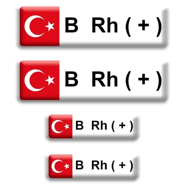 Kan Grubu Düz B Rh+ / PKD1006