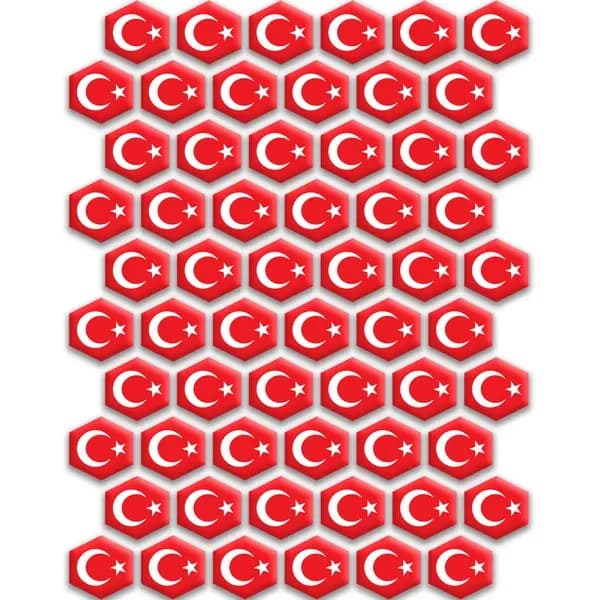 Bayrak Balpeteği 001 / KBI001
