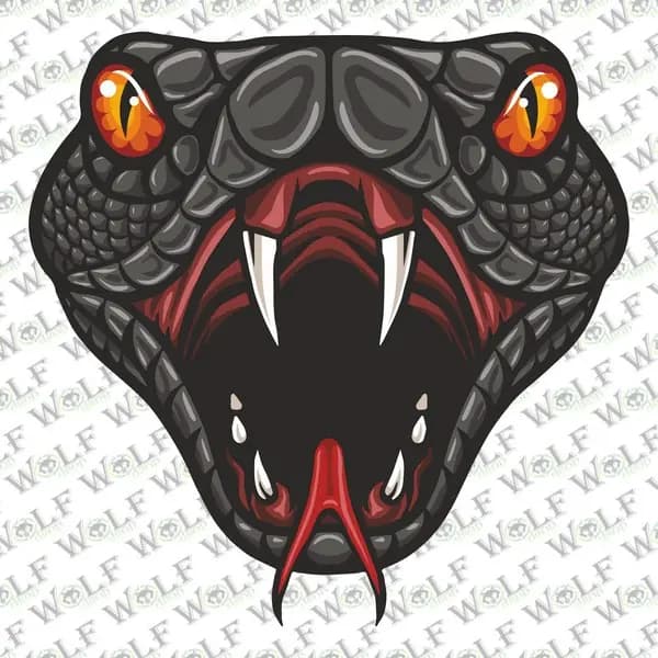 Tekli Sticker 067 / PTS067