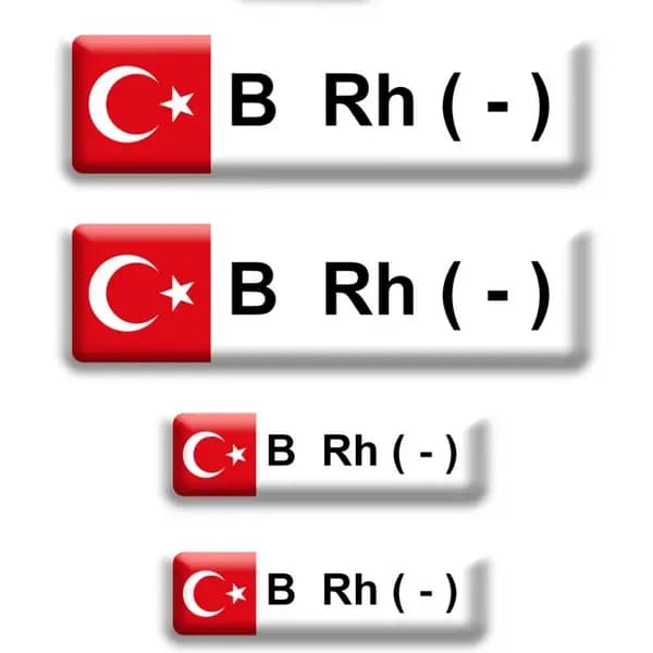 Kan Grubu Düz B Rh- / PKD1009
