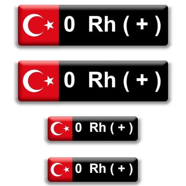 Kan Grubu Düz 0 Rh+ / PKD1008