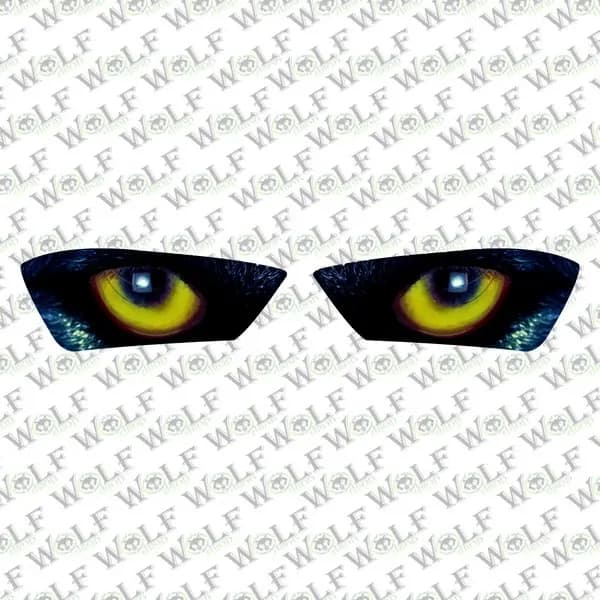 Yamaha R25 Uyumlu Far Sticker 024 / PFR0024