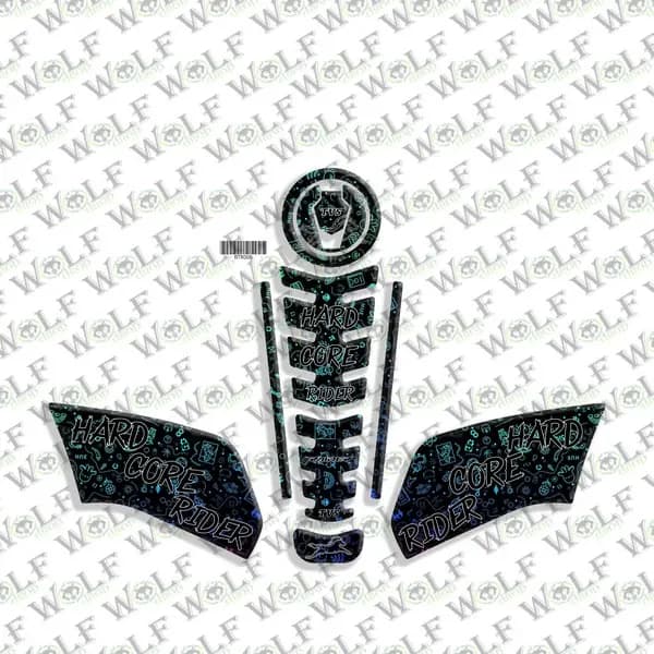 TVS RAIDER 2023 - 2024 UYUMLU FULL SET 008 / BTR008