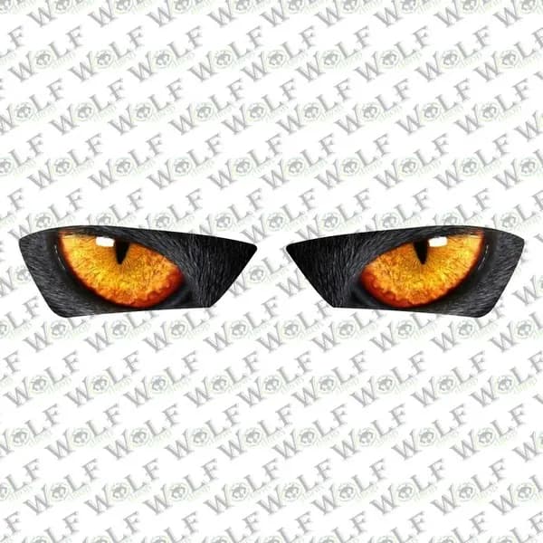 Yamaha R25 Uyumlu Far Sticker 006 / PFR006
