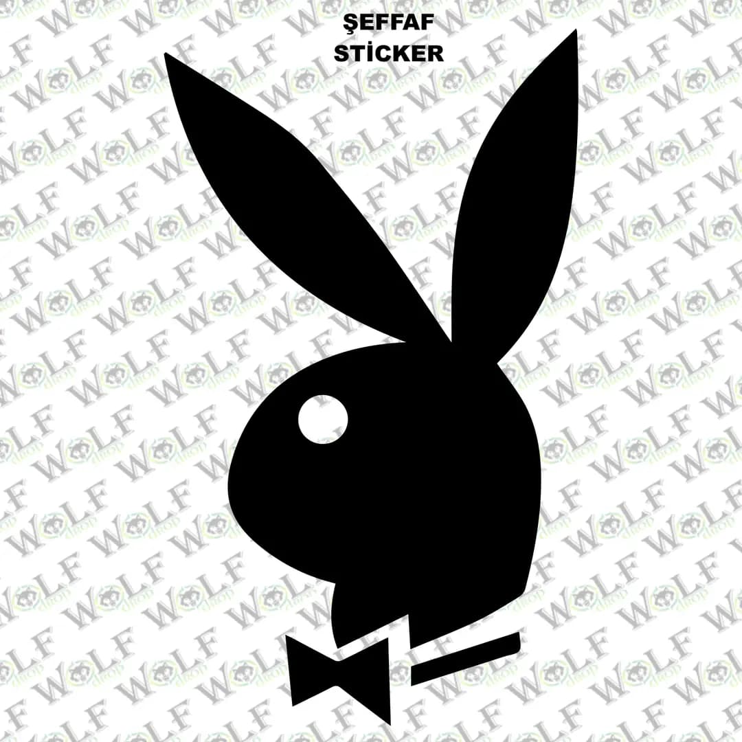 Tekli Sticker Şeffaf 027 / PSTS027