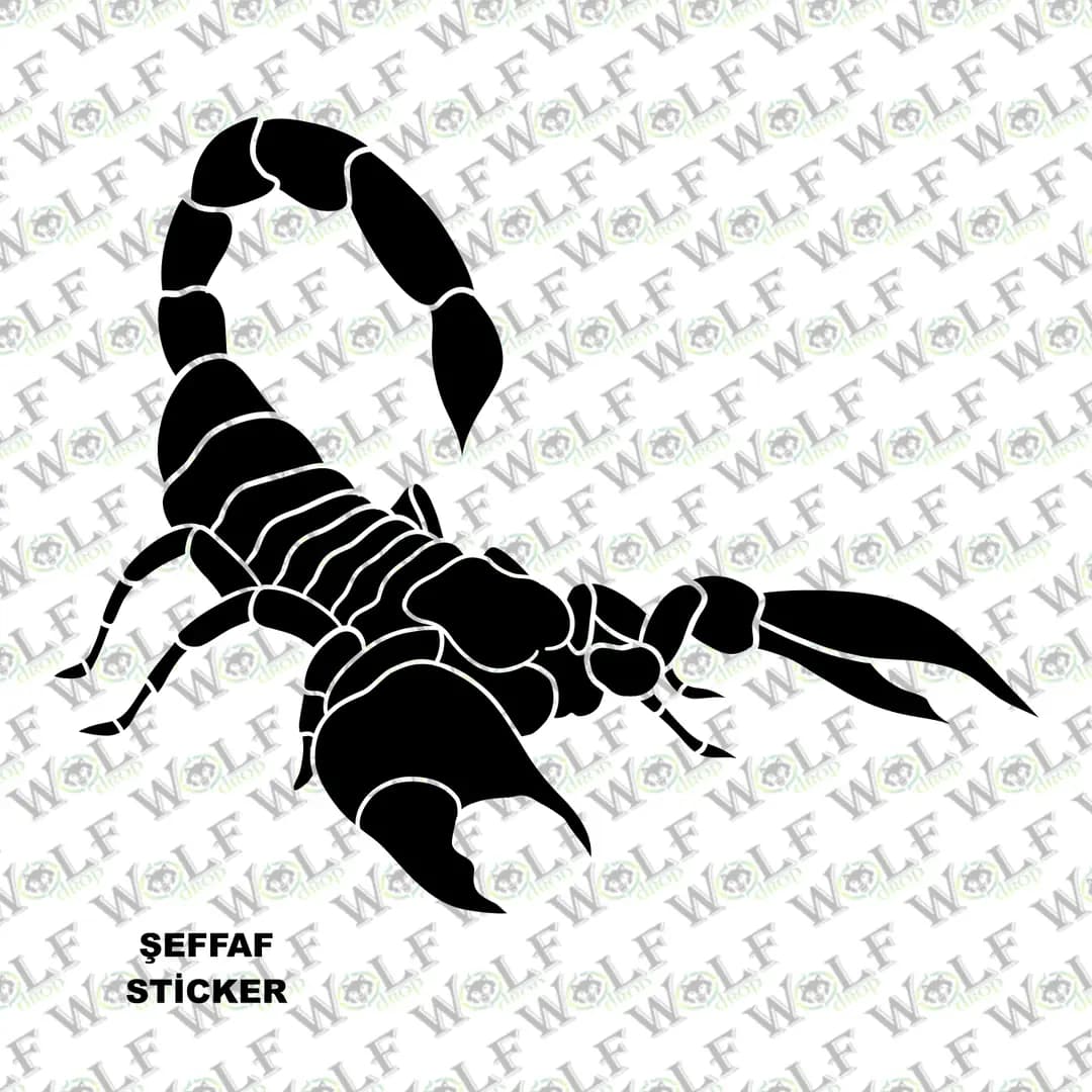 Tekli Sticker Şeffaf 002 / PSTS002